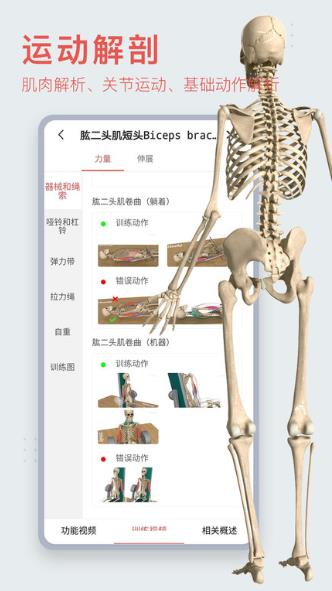3Dbody解剖截图_4