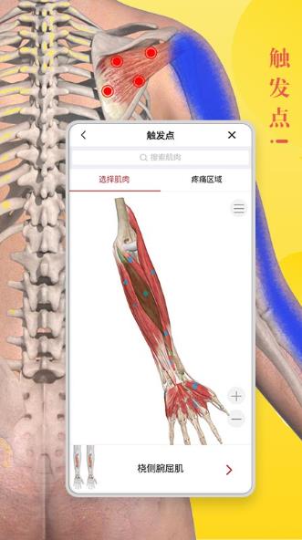 3Dbody解剖截图_2
