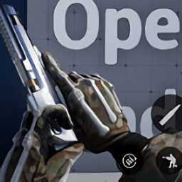 COD19自制版