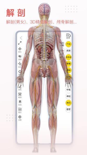 3Dbody解剖截图_1