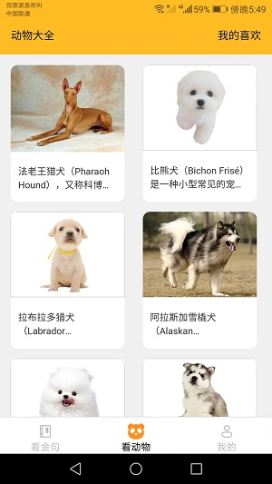 口袋乐看截图_2