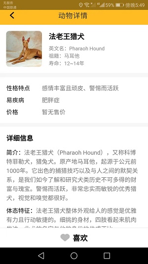 口袋乐看截图_3