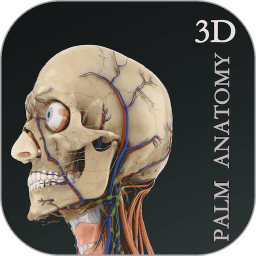掌上3D解剖