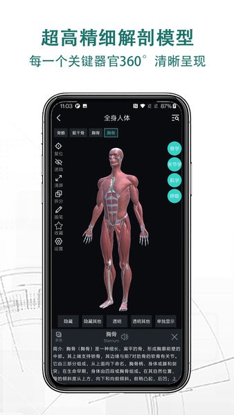 掌上3D解剖截图_2