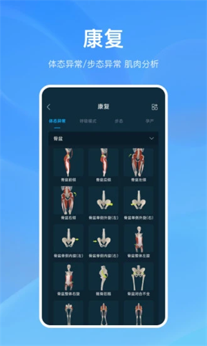 解剖大师截图_3