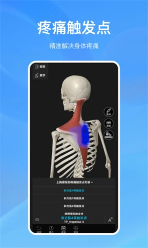 解剖大师截图_2