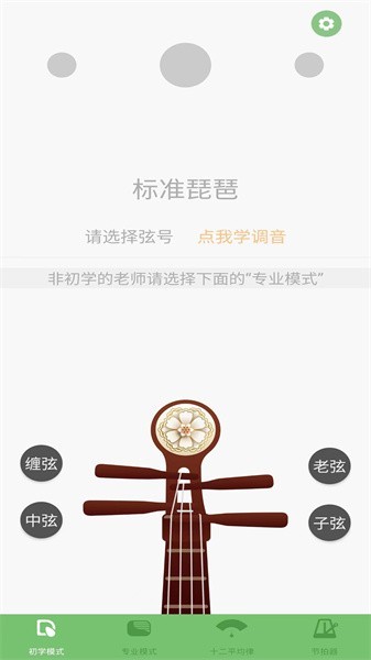 智能琵琶调音器截图_3