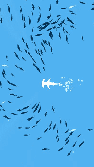 深海鱼群（Shoal of fish）截图_4