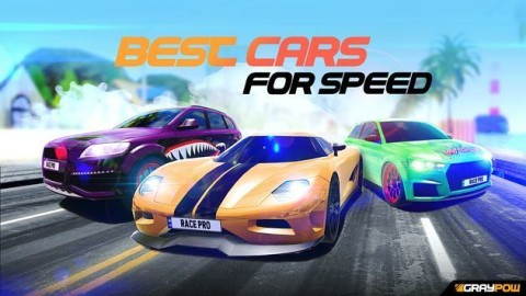 顶级赛车手(Race Pro: Speed Car Racer in Traffic)截图_3