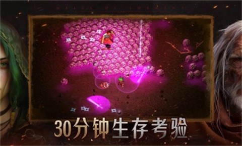 苦痛殿堂高级版(Halls of Torment: Premium) 第2张图