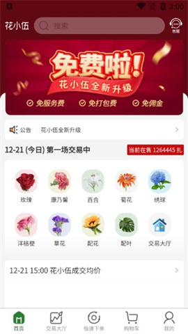 花小伍 第1张图
