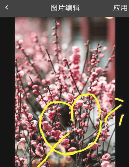 快猫美秀截图_2