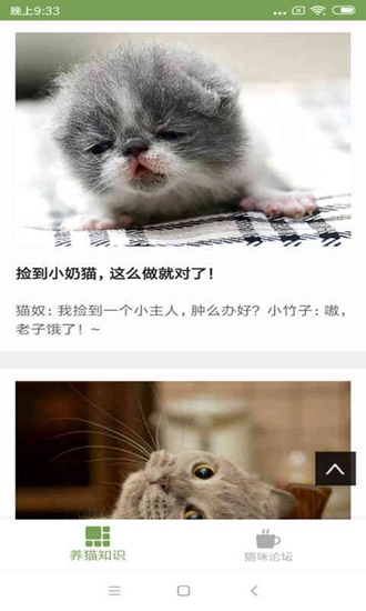 猫咪生活圈截图_3