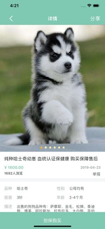 宠狐截图_2