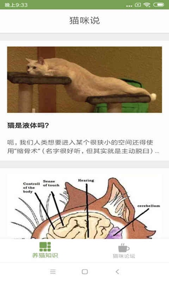 猫咪生活圈截图_1