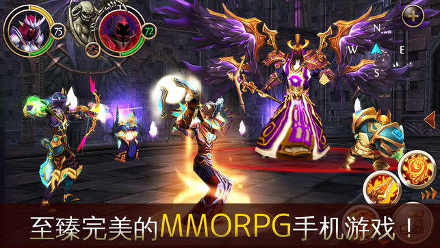 混沌与秩序Online截图_1