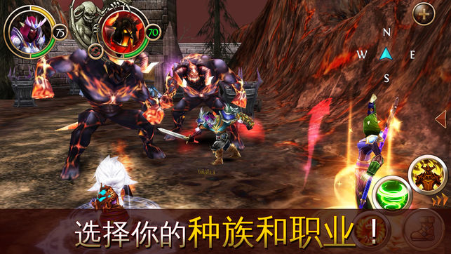 混沌与秩序Online截图_4