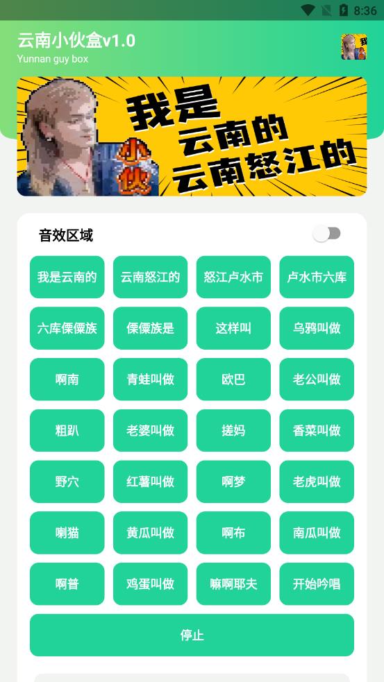 云南小伙盒1.0他是云南的,云南怒江的.apk截图_3