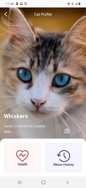 喵说最新版本截图_3