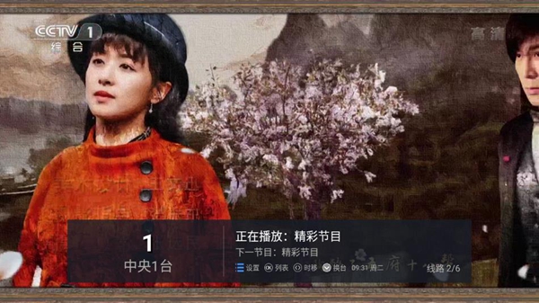 大视界tv解锁版截图_4