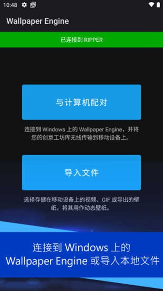 原神透明壁纸引擎文件截图_1