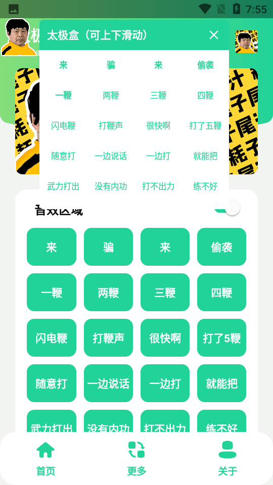 太极盒_(马大师申请出战).apk截图_1