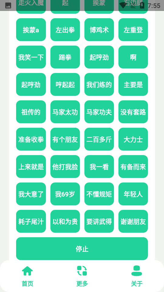 太极盒_(马大师申请出战).apk截图_3