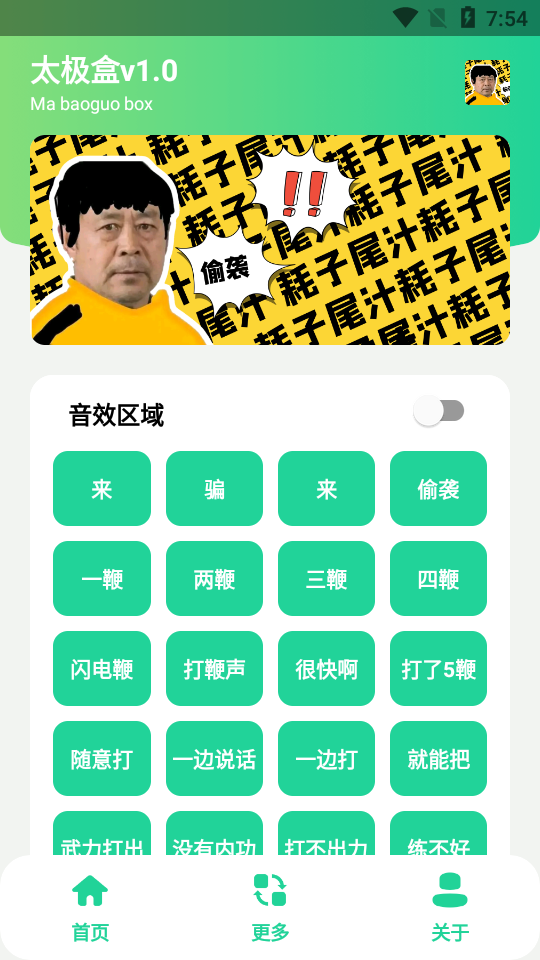 太极盒_(马大师申请出战).apk截图_4
