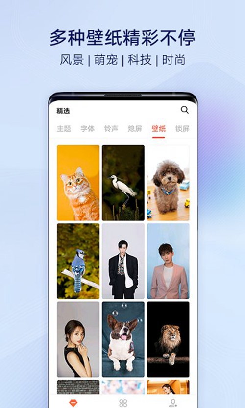 vivo手机i主题最新版本截图_4