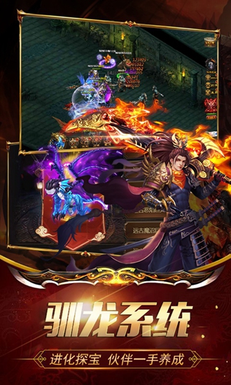 荣耀世纪驯龙记截图_3