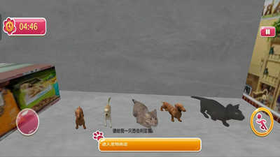 猫咪冒险记截图_3