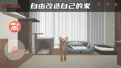 快递达人截图_5