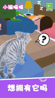 小猫喵喵截图_5