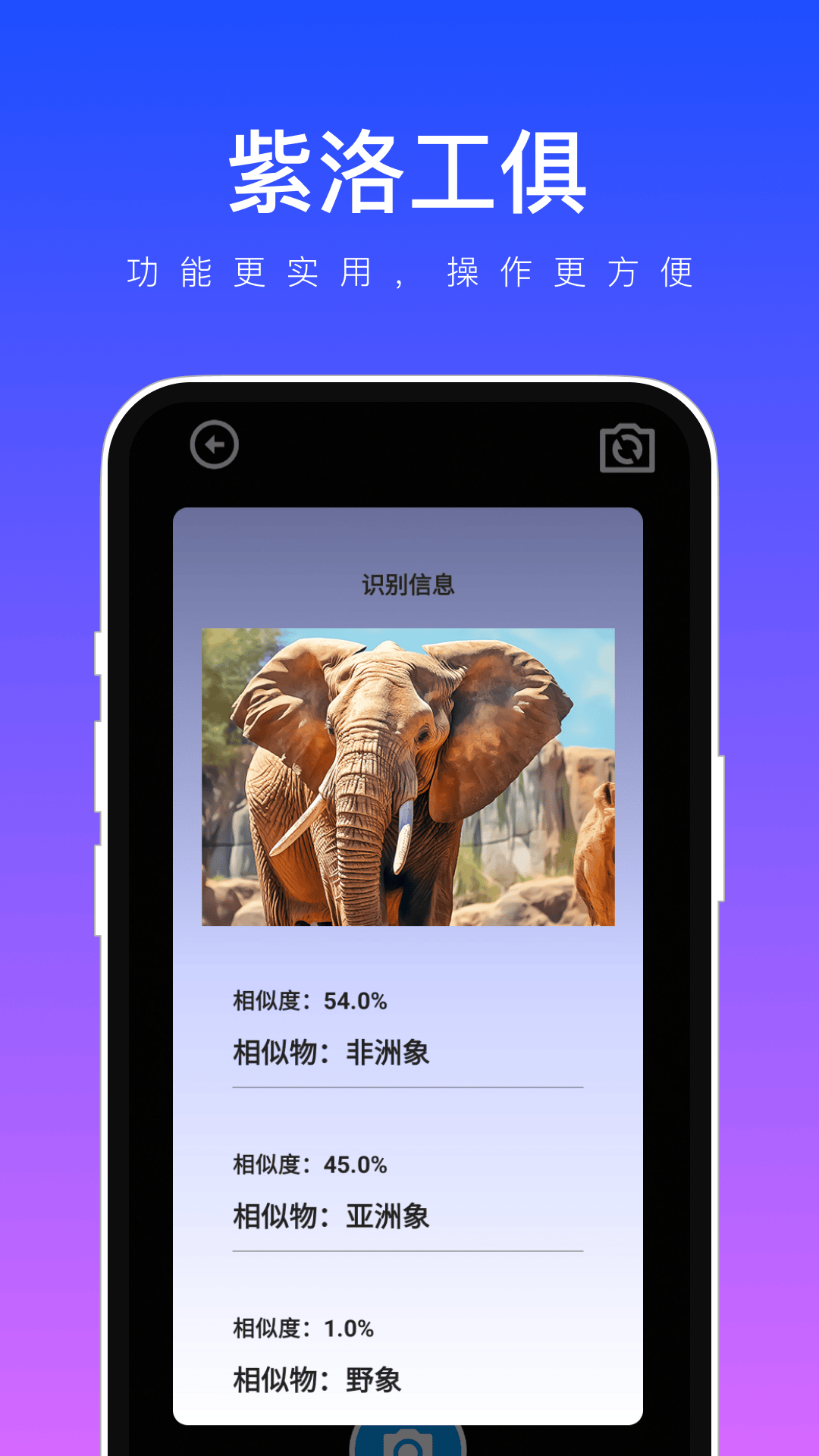 紫洛工俱软件截图_1