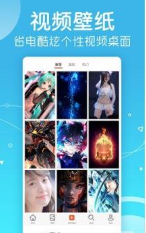 小鸟壁纸手机版截图_3