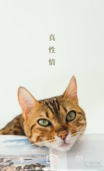 美妆镜子截图_3
