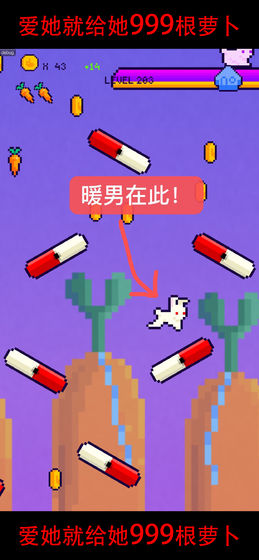 恩爱兔999根胡萝卜截图_3