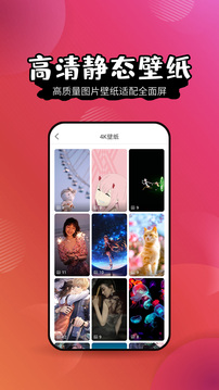 潮壁纸精灵截图_4