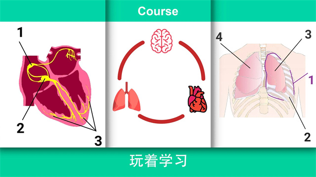 Reanimation inc模拟器截图_2