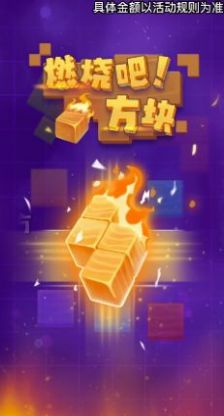 燃烧吧方块安卓版截图_3