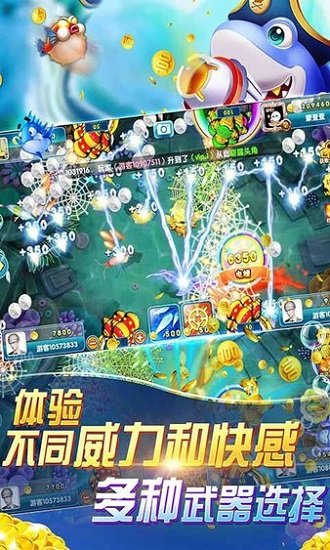 鱼丸捕鱼大作战官方下载