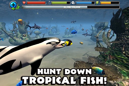 Dolphin Sim截图_1