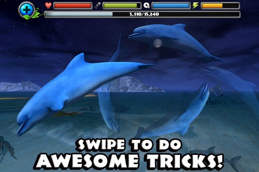 Dolphin Sim截图_3