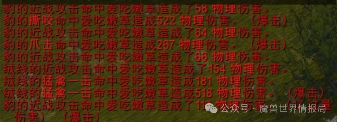 暴雪冻雨下的返乡人 暴雪疯了？魔兽近战猎人按1秒杀满血战士，脸滚键盘输出碾压全职业